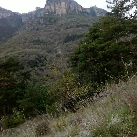 Les Cardabelles